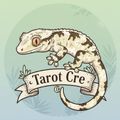 타로크레