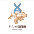 원리버렙타일