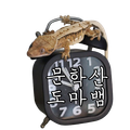 문학산도마뱀