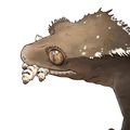이주한크레연구소