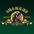 꾸뤠수틔두궤쿼