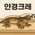 안경크레