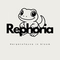 레포리아Rephoria