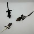 검정크레용