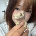 현정