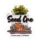 seed