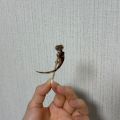 마뱀이야mb2ya