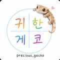 귀한게코PreciousGec