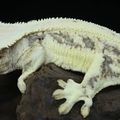 블랙엠쓰