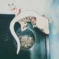 K렙타일