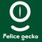 펠리체게코