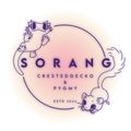소랑크레SORANGCRE