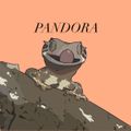 PANDORA