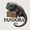 Pandora판도라