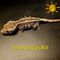 SunnyGecko