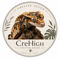 CreHigh크레하이
