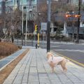 온집사