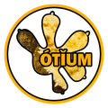 오티움