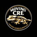 무빙크레
