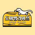 도마뱀라이프루원