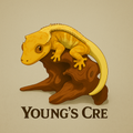 YoungsCre