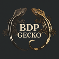 BDP