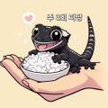주3회피딩