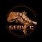 geoms