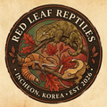 레드리프REDLEAF