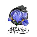 블랙아이리스