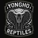용호YongHo