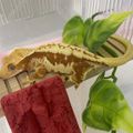 베리맘