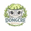동크레DONGCRE