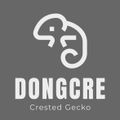 Dongcre동크레