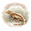 Bisulgecko