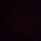불리
