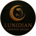 LUNIDIANGECKO
