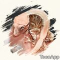 EOMGECKO