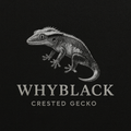Whyblack
