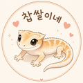 찹쌀콩떡