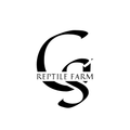 GS렙타일팜