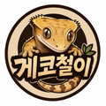 게코철이
