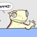 챠챠