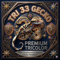 트라이33