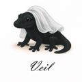 VEIL베일