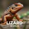 Lizardworld
