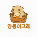 양동이크레