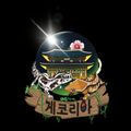게코리아