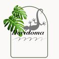 Doridoma