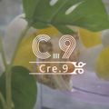 크레나인9